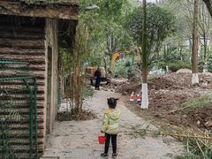 -重庆彩云湖湿地公园