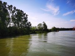 -东寨港红树林旅游区