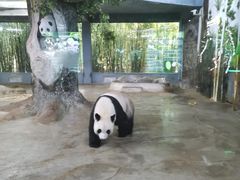 -海南热带野生动植物园