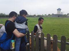 -上海多利农业发展有限公司