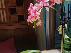 -一叶一世界•素食餐厅(环球中心店)