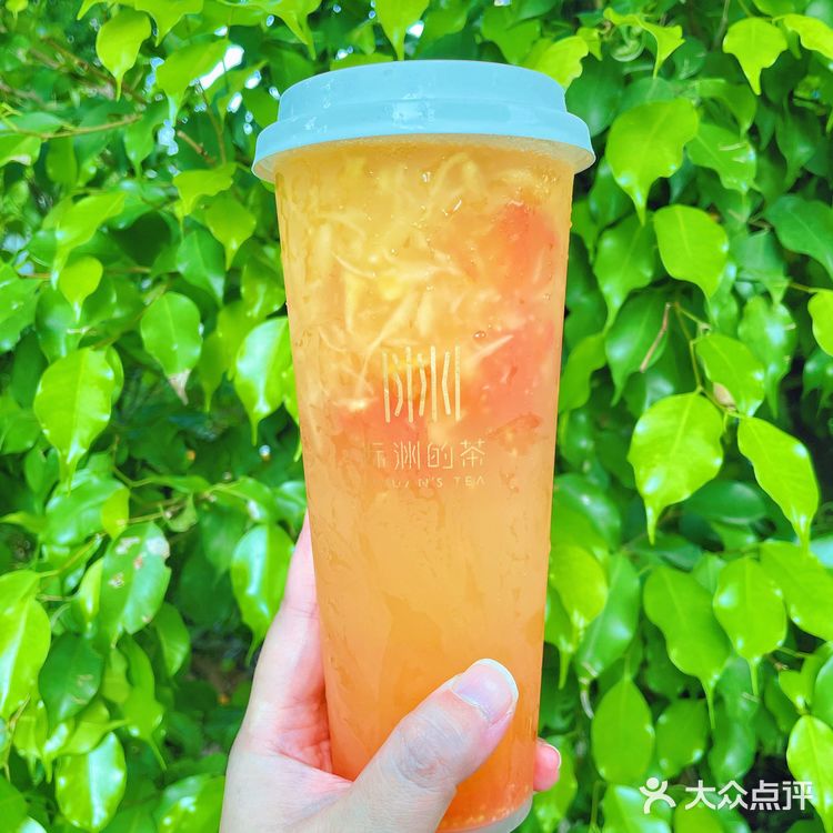 虹吸萃茶x番茄蛋汤？