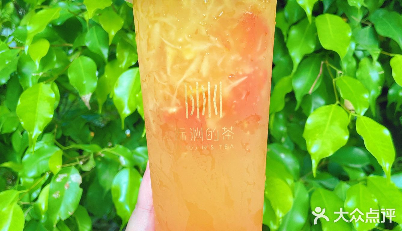 虹吸萃茶x番茄蛋汤？