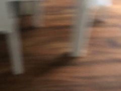-骆驼日式搬家收纳整理