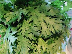 茼蒿-花田煮鲜牛肉火锅(钟楼众汇店)