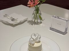 -BLACKSWAN黑天鹅(新希望店)