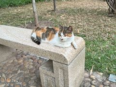 -晓港公园