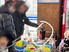 -武陵山森林公园