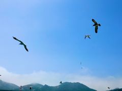 -海驴岛(荣成市)