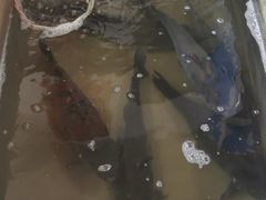 -缘福乡村铁锅炖民宿(八达岭店)