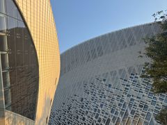 -福州海峡文化艺术中心