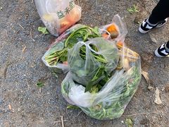 -秦皇岛野生动物园