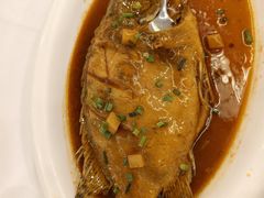 黄山臭鳜鱼-庐州太太(南七里店)