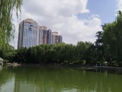 -团结湖公园
