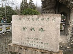 -上海佘山国家森林公园天马山园