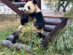 -杭州野生动物世界