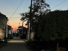 -一品粤珍轩(吴中路店)