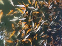 -长春市南湖公园