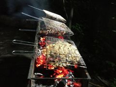 烤羊腿-十三陵山水雅园农家院