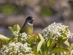-梁鸿国家湿地公园