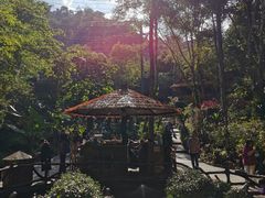 -野象谷景区