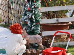 -HERRE·FARM 赫尔露营农场·团建聚会包场