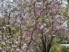 -广州市干部健康管理中心