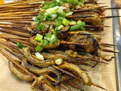 -晓靖轩烧烤(沙河风情店)