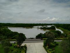 -大湾区中央湿地公园