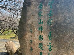 -香雪海