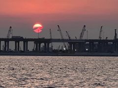 -宝安西湾红树林湿地公园