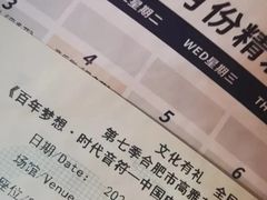 -合肥大剧院