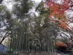 -兰亭风景区