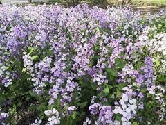 -水上乐园·欢乐世界