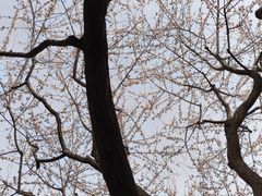 -碑林公园