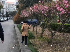 -金杨新村六街坊