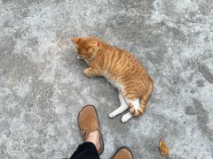 -兮食农场餐厅