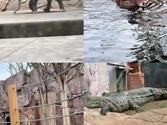 -武汉动物园