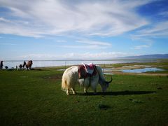 -青海湖国家重点风景名胜区