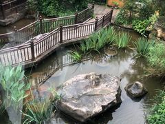 -聚缘堂·海鲜私房菜(松岭路店)