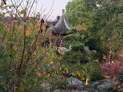-苏城小院·园林精致苏州菜(斜塘老街店)