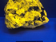 -湖南省地质博物馆