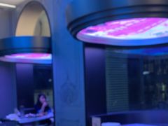 -巴厘龙虾·榜首油焖大虾(洞庭·艺术洋房店)