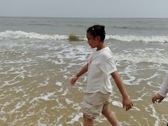 -日照海滨国家森林公园