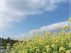 -上海德威外籍人员子女学校(浦西校区)