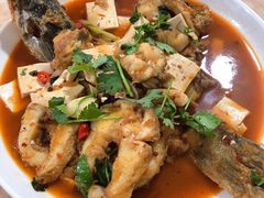 -煲来饱去冷水鱼