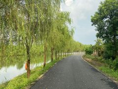 -广富林郊野公园