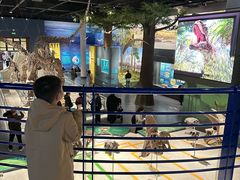 -国家自然博物馆