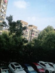 -雍禾植发
