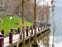 -重庆彩云湖湿地公园